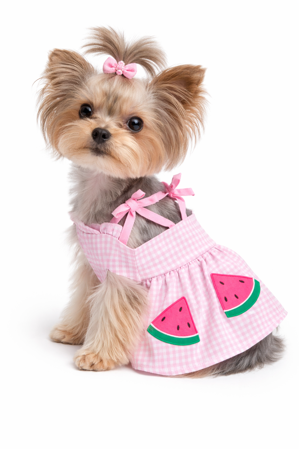 Sweet Summer Watermelon Dress