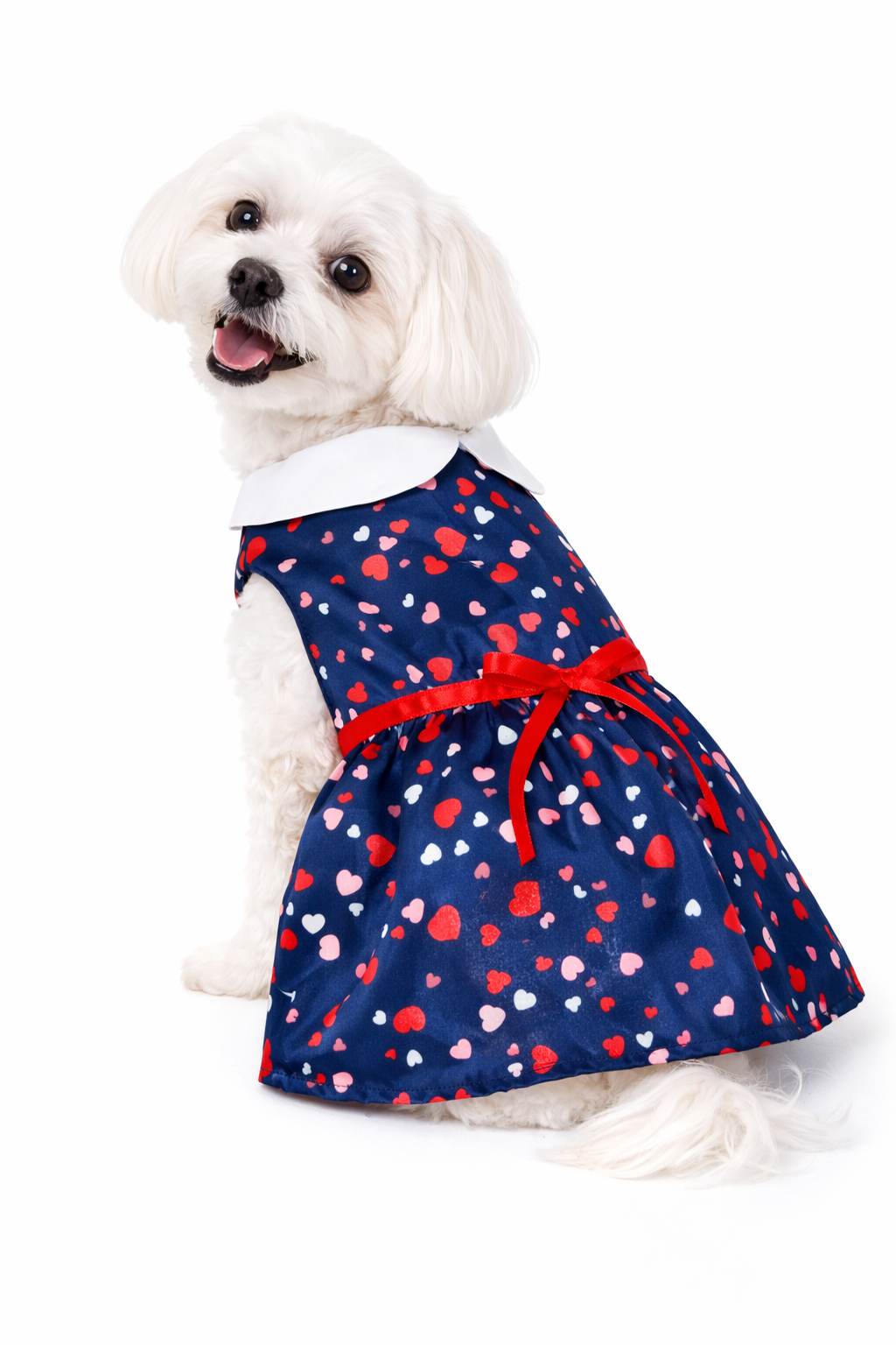Sweetheart Bow Pet Dress