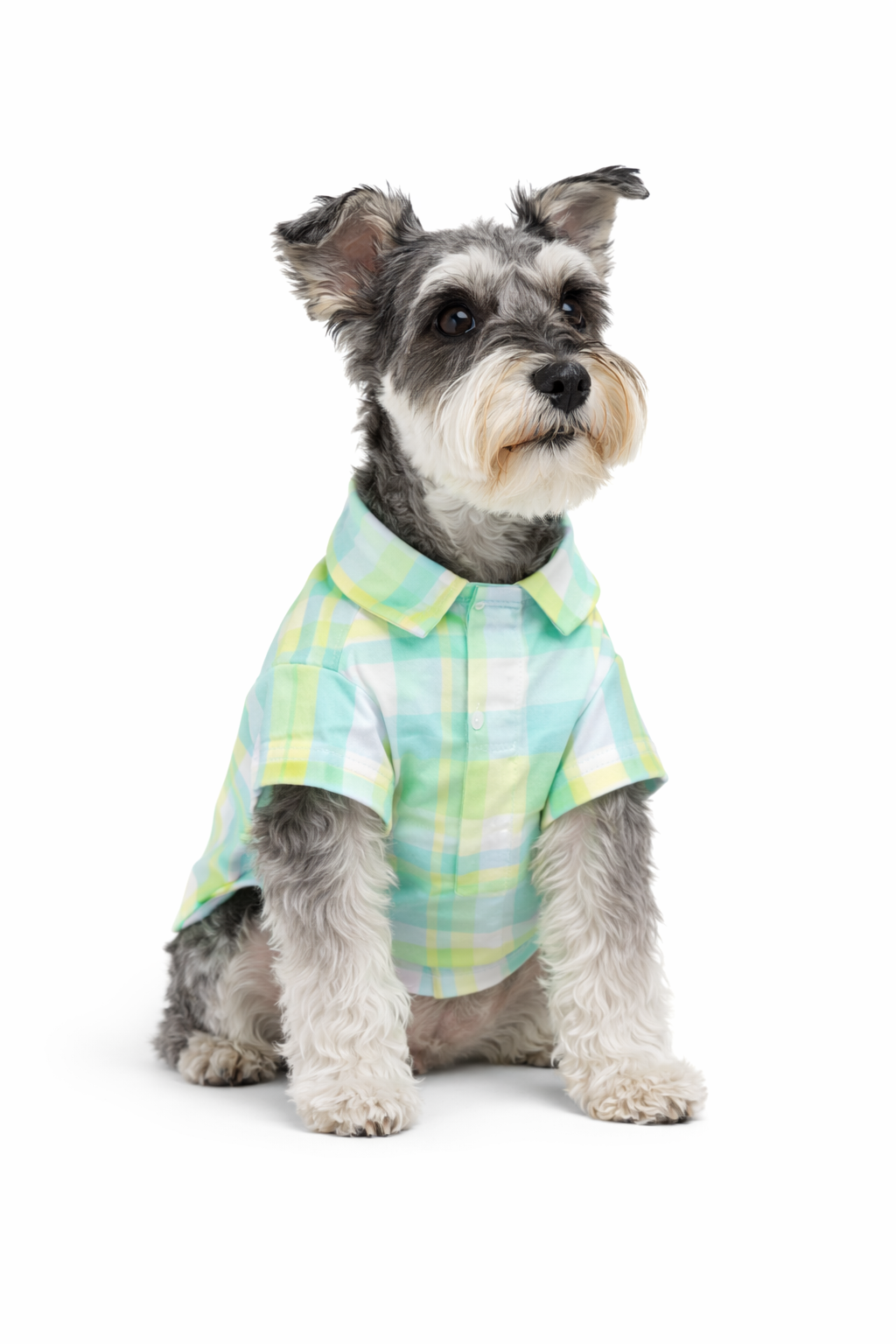 Mint Gingham Bow Shirt
