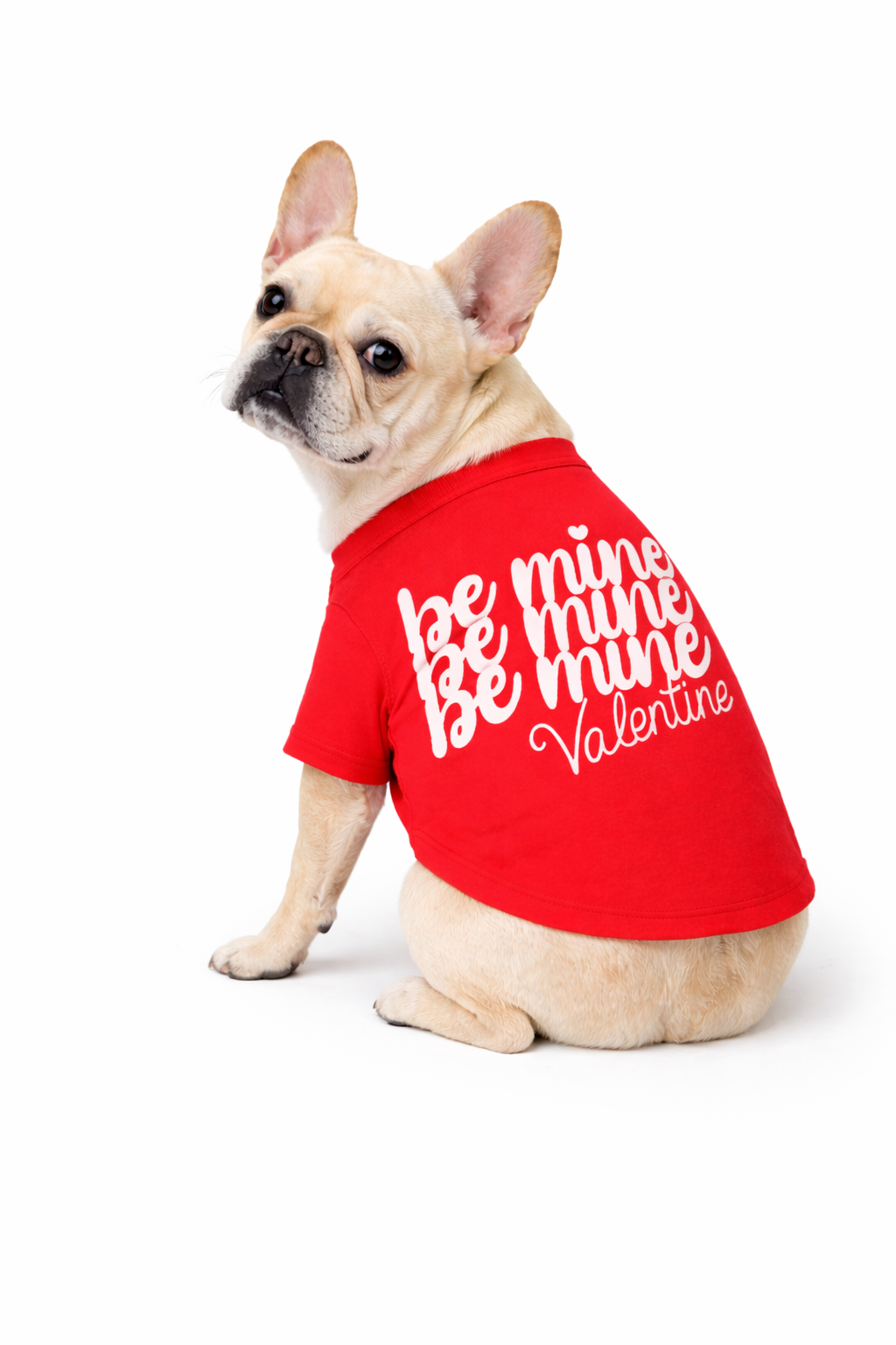 Be mine Valentine