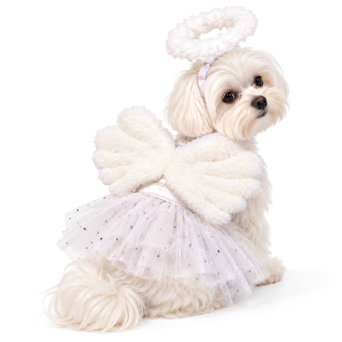 Heavenly Angel Pet Costume Set 🤍