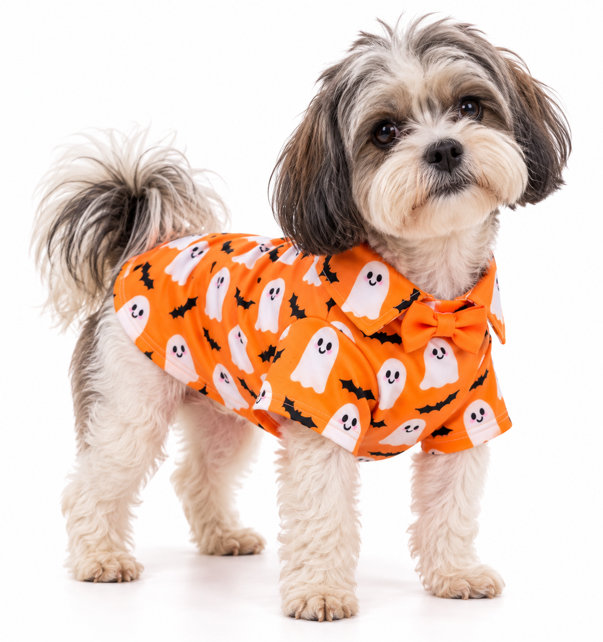 Boo-tiful Ghost Pet Shirt 👻🎃