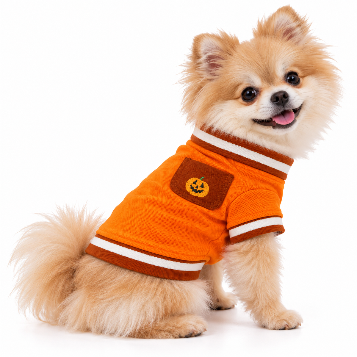 Pumpkin Patch Pet Polo Shirt 🎃