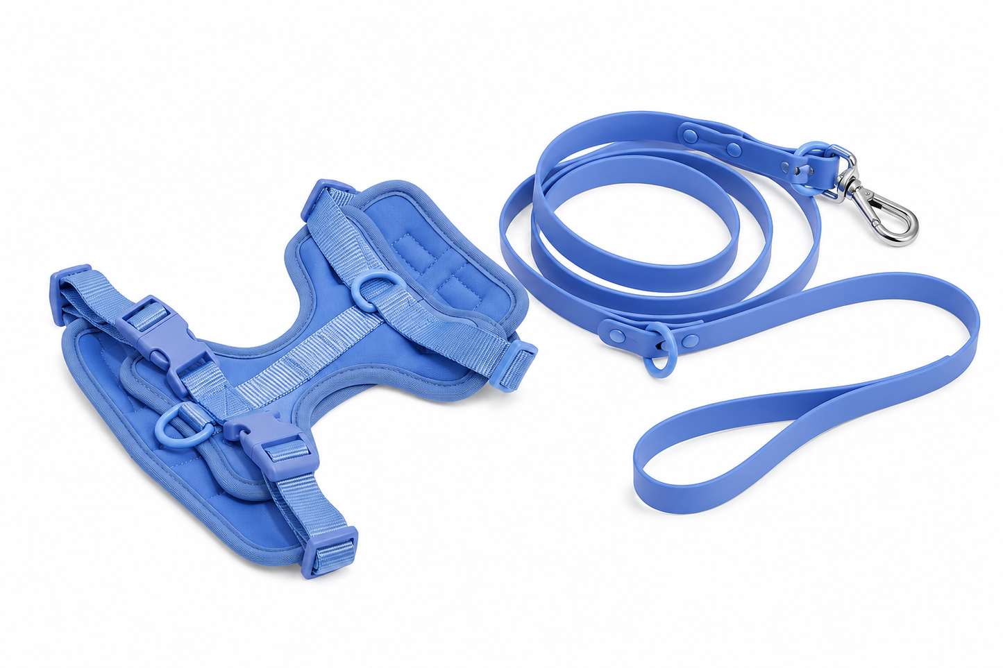 Harness & Leash Set
