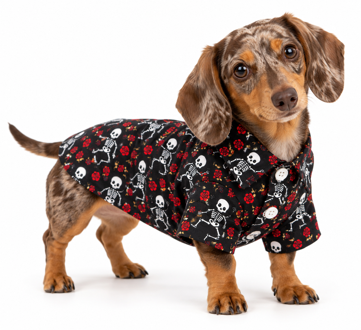 Skeleton & Roses Pet Shirt 💀🌹