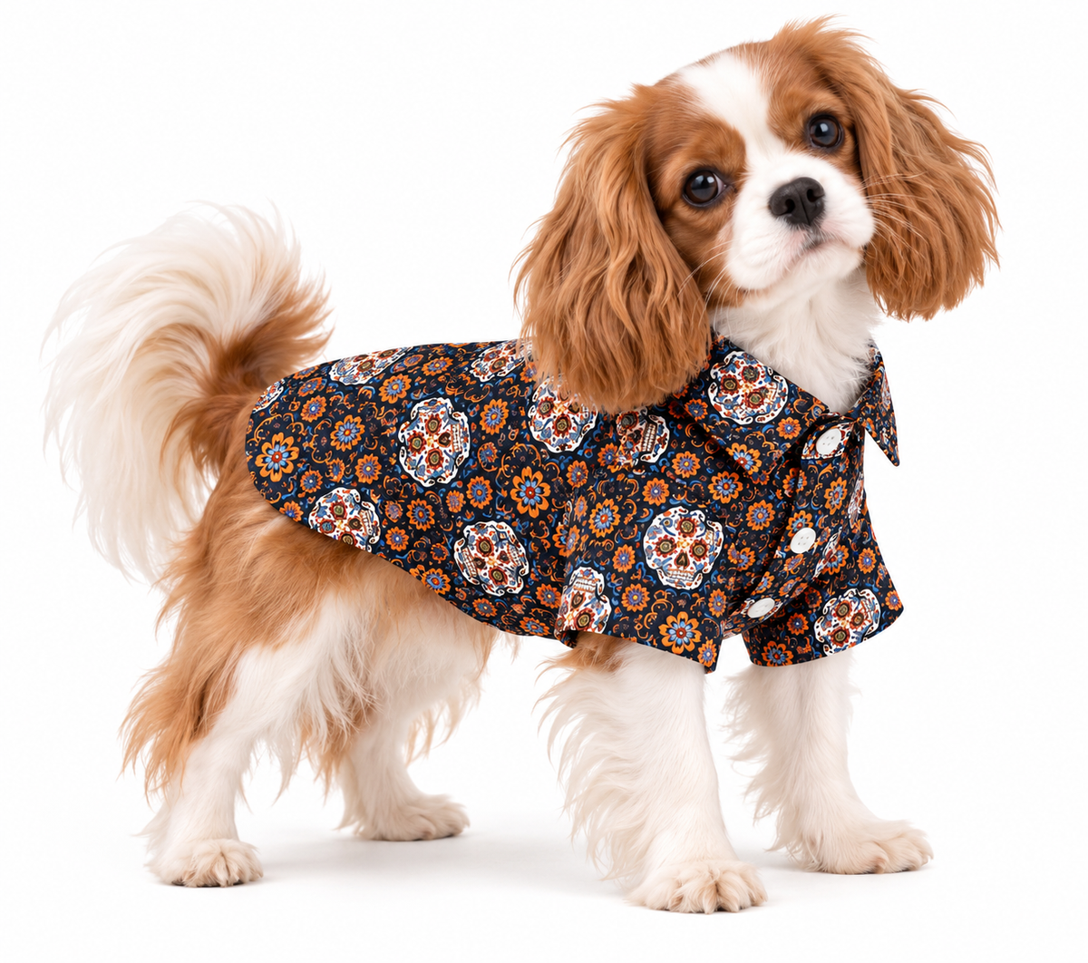 Sugar Skull Fiesta Pet Shirt 💀