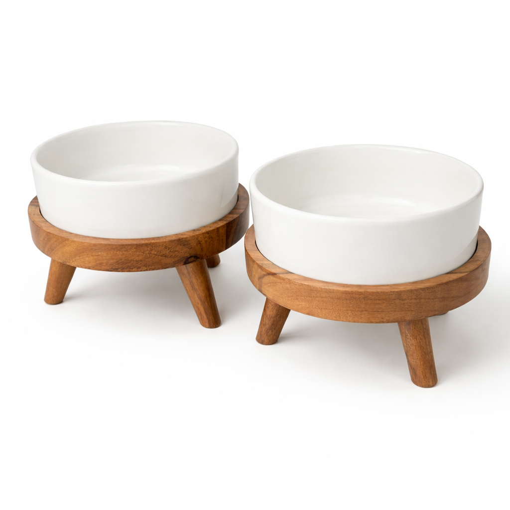Elevated Ceramic Pet Bowl Set with Wooden Stand