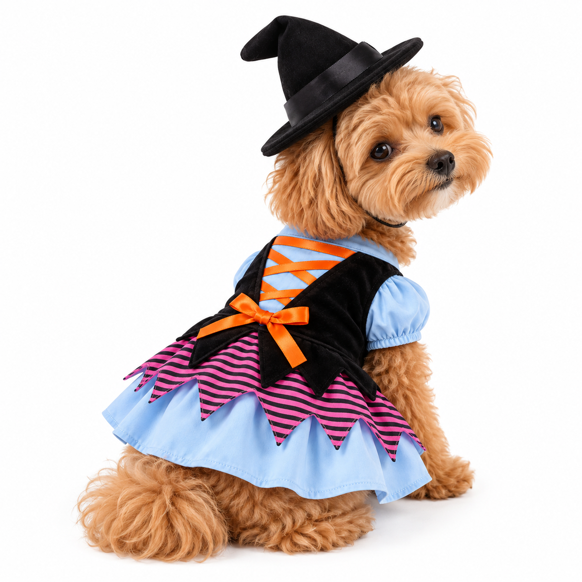 Spooky Chic Witch Pet Costume Set 🧙‍♀️🎃